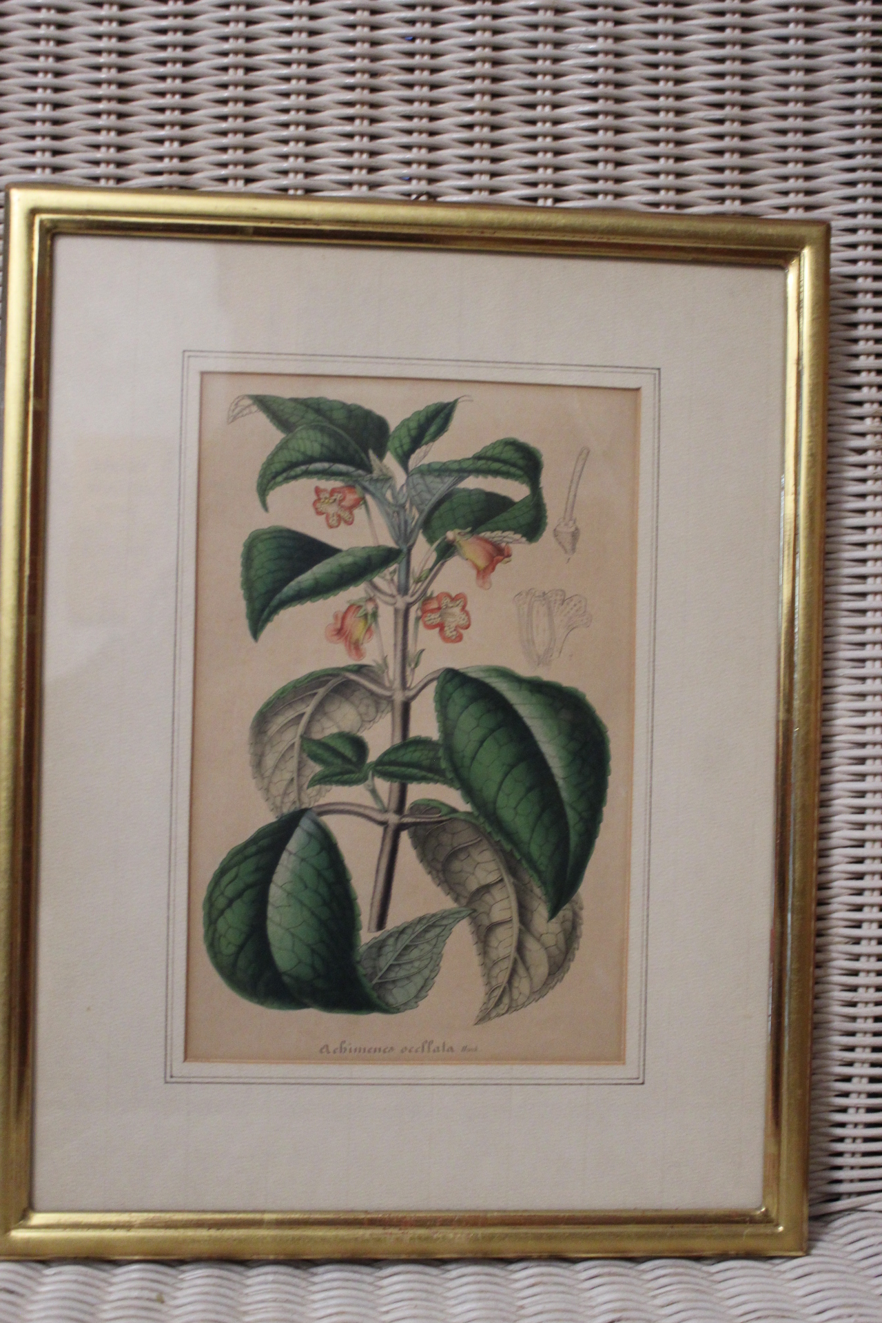 Bild mit Blumen in Goldrahmen / verkauft